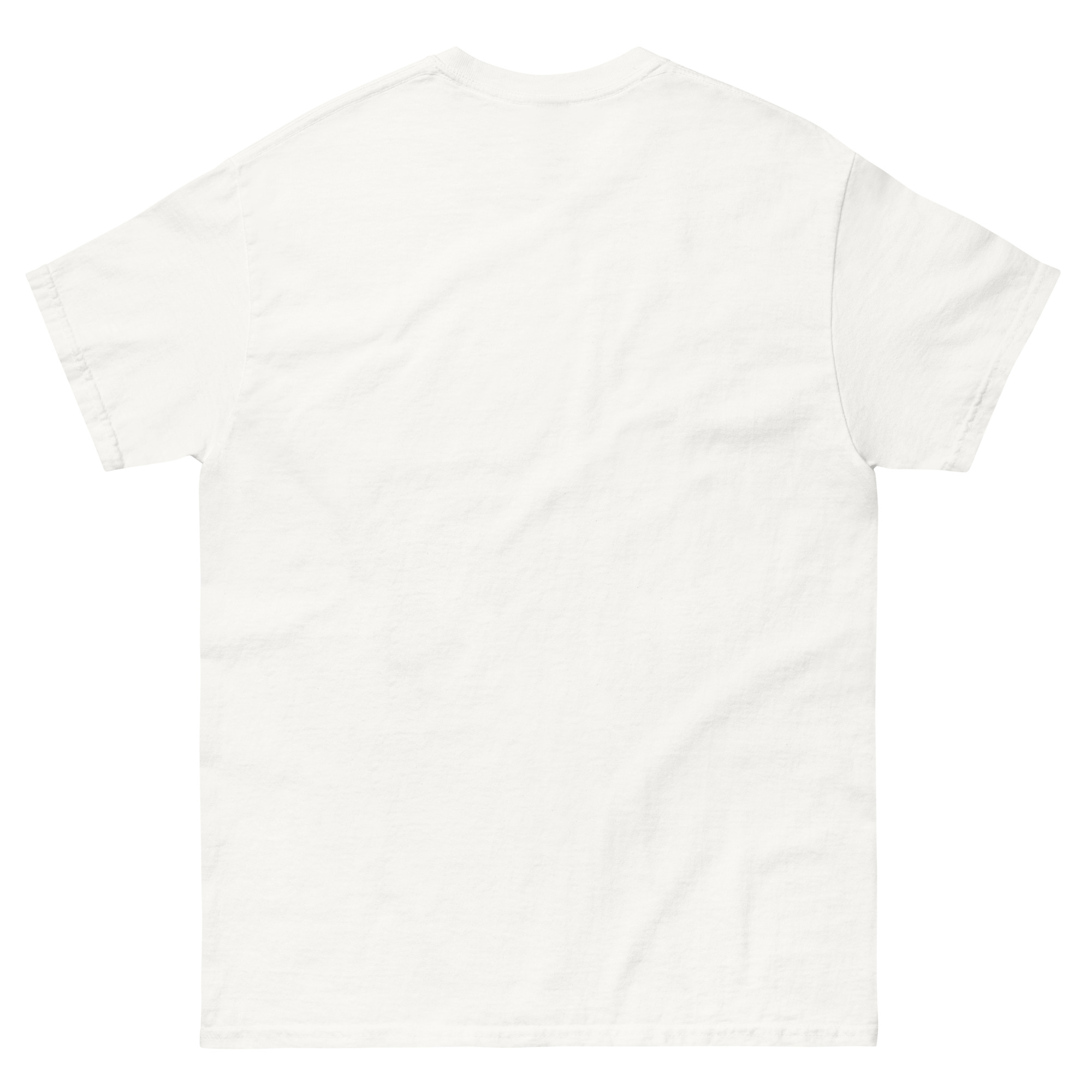 unisex-classic-tee-white-back-68fa28ee400d8.jpg